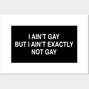 I AIN’T GAY BUT I AIN’T EXACTLY NOT GAY Posters and Art